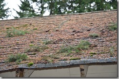 moss