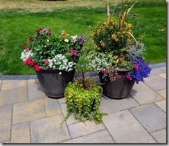 clip_image002